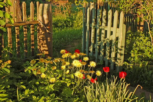 Bright flowers and fence door gate in the Russian village at sunset