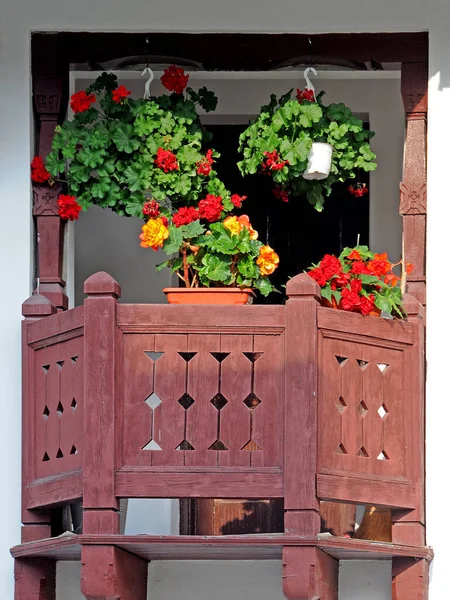 Kleurrijke Geraniums Het Kleine Houten Balkon Roemenië — Stockfoto