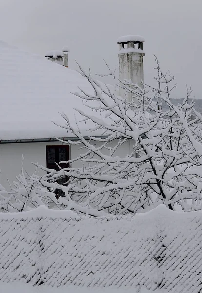 View Partially Seen House Snowy Trees — Fotografia de Stock