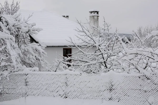 Widok Częściowo Widziany Dom Śnieżnymi Drzewami Zimie — Zdjęcie stockowe