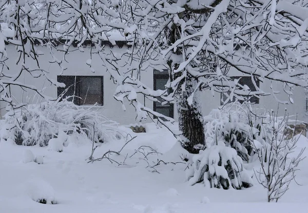 View Partially Seen House Snowy Trees — Fotografia de Stock