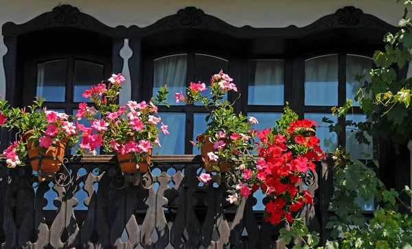 Jasne Kwiaty Balkonie Latem — Zdjęcie stockowe