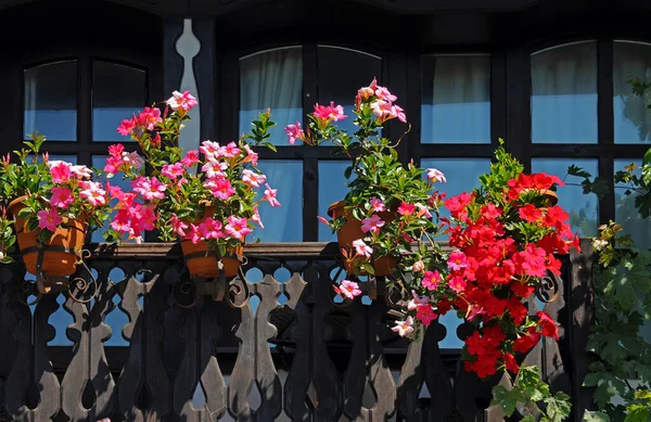 Bright Flowers Wooden Balcony Building Summer Stock Picture