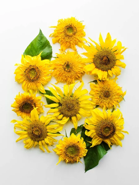Sunflowers White Wooden Background Shallow Dof — Stock Photo, Image