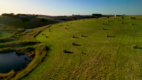 Haystack Campo Visão Drone — Vídeo de Stock