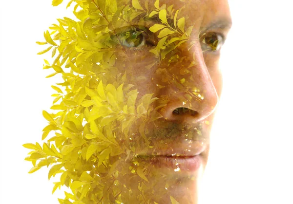 緑の葉の芽の写真と組み合わせた人間の顔のクローズアップの二重露出の肖像画 — ストック写真