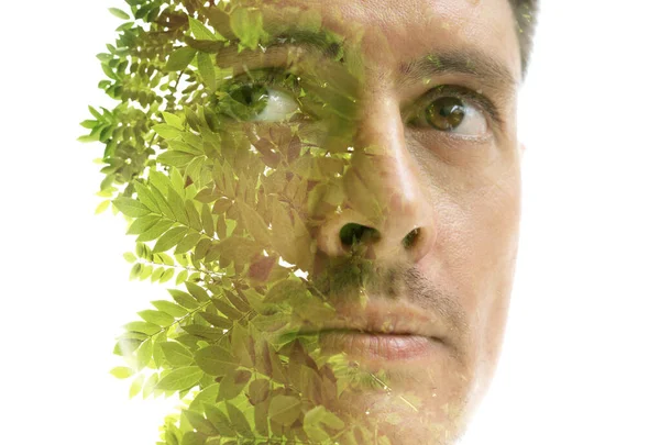 Dvojitá Expozice Portrét Muže Tvář Kombinaci Fotografií Zelených Větví Stromu — Stock fotografie