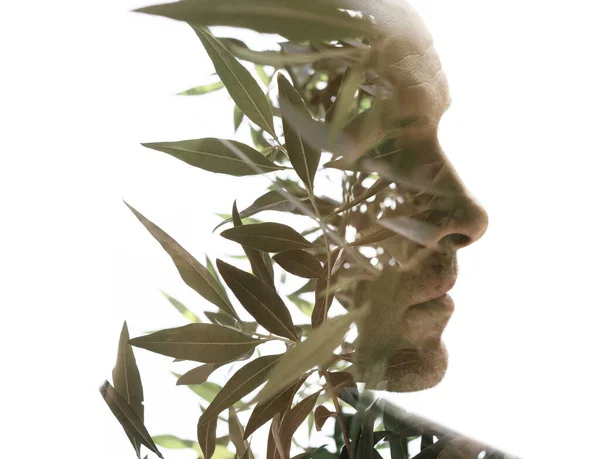 双曝光技术中的一幅人脸肖像 与橄榄树叶子的照片结合在一起 — 图库照片