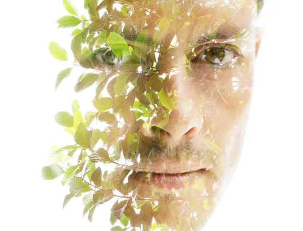 二重露光技術で緑の葉や枝に姿を消す男の顔の肖像画 — ストック写真