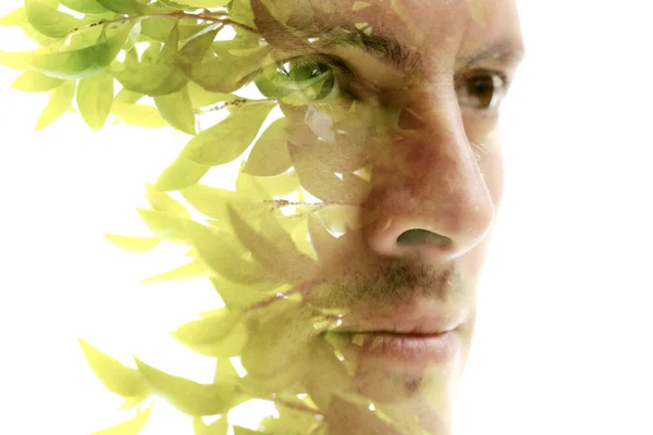 二重露出技術の緑の葉の写真と組み合わせた男の肖像画クローズアップ — ストック写真