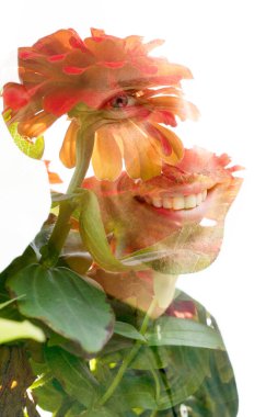 Gülümseyen bir adamın portresi, kırmızı çiçeklerin yeşil saplı fotoğrafı ve beyaz arka planda çift pozlama tekniğiyle birleştirilmiş..