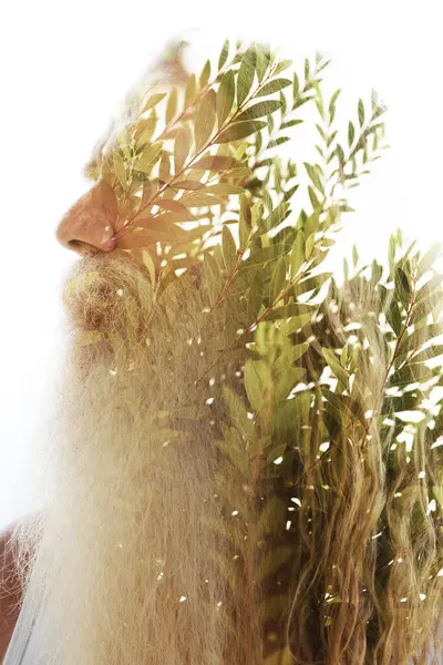 一个留着胡子的老人的肖像与一张绿树分枝的照片合二为一 图库照片