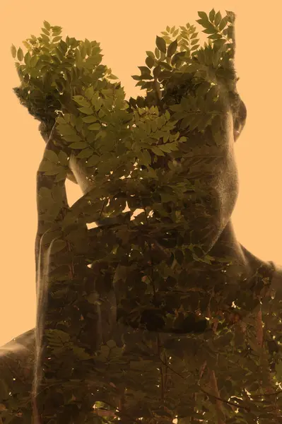 顔に手を握っている男の肖像画のシルエット 木の枝のシルエットと黄色の背景に対する芸術的な方法で葉と組み合わせる ストック画像