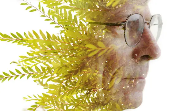 Kreatywny Portret Mężczyzny Gałęziami Drzew Wyrastającymi Jego Głowy Podwójnej Ekspozycji Obraz Stockowy