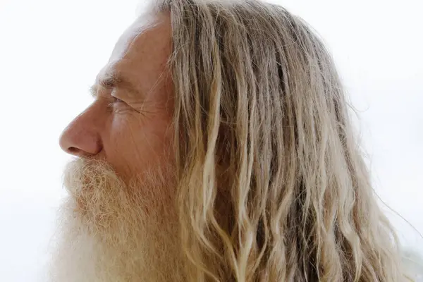 Retrato Perfil Homem Velho Com Barba Cabelos Longos Sorrindo Fotografias De Stock Royalty-Free