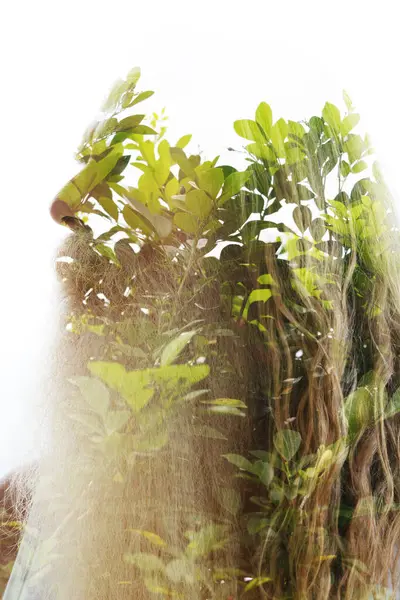 一个老大胡子男人的特征与照片树的叶子合并 双重曝光消失在顶部的白色背景中 图库照片