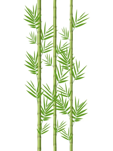 Bambusstämme Mit Blättern Auf Weißem Hintergrund — Stockvektor