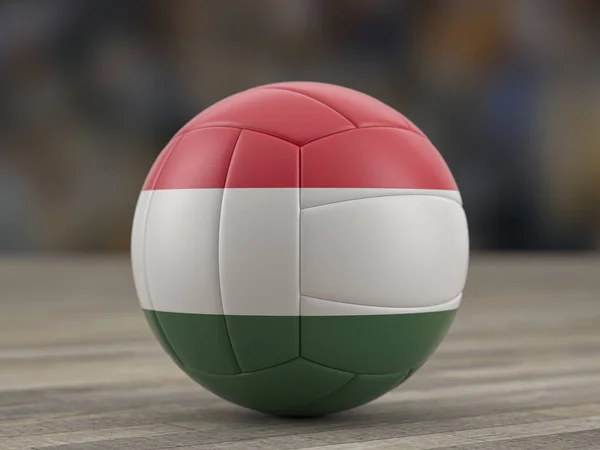 Ballon Volley Ball Drapeau Hongrie Sur Sol Bois Illustration — Photo