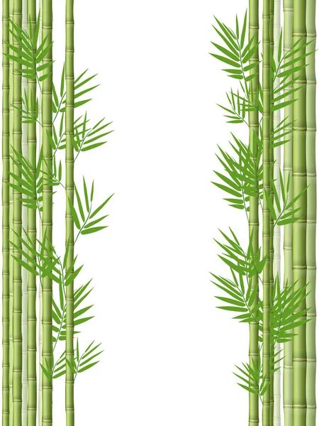 Steli Bambù Con Foglie Sfondo Bianco — Vettoriale Stock