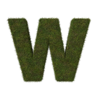 Çimen harfi W şeffaf arkaplan üzerinde.