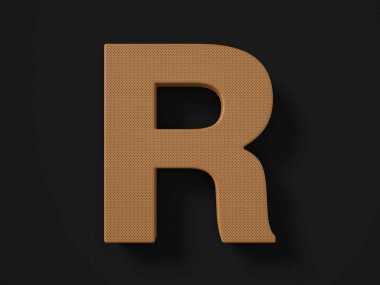 Siyah arka planda yırtılmış deri R harfi. 3d illüstrasyon.