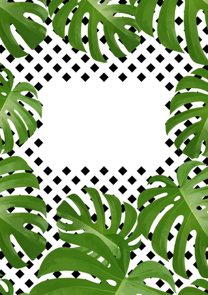 Фон Тропическими Пальмовыми Листьями Экзотические Тропические Растения Иллюстрация Природы Джунглей — стоковый вектор