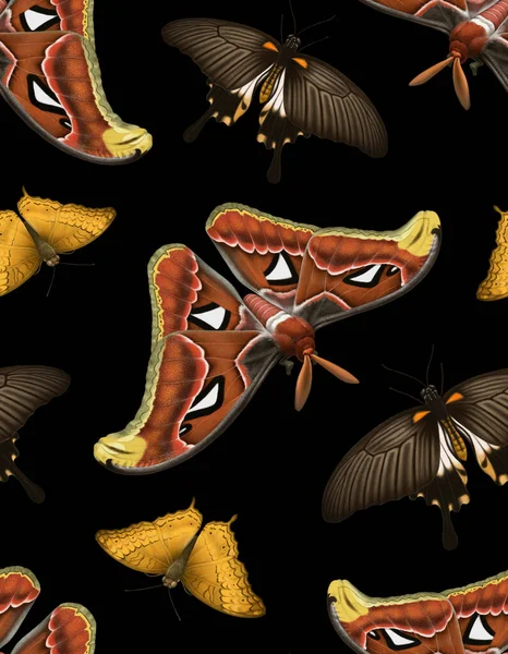 Illustrazioni Farfalle Tropicali Modello Senza Soluzione Continuità — Foto Stock