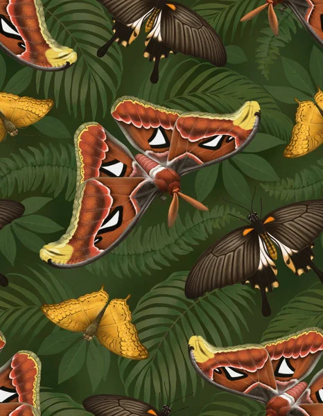 Illustraties Van Tropische Vlinders Naadloos Patroon — Stockfoto