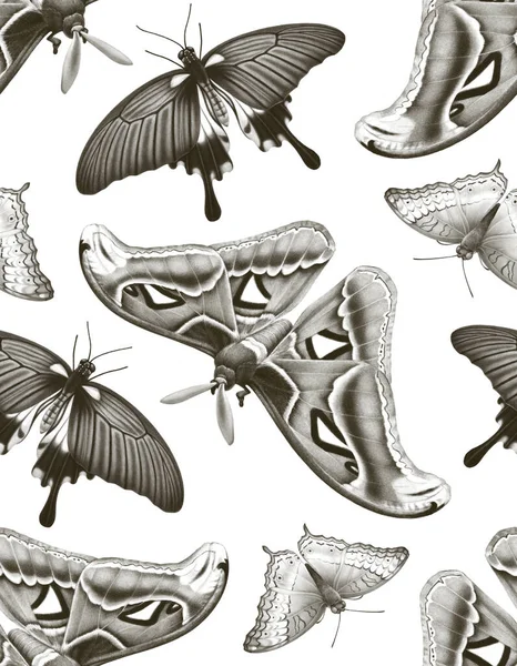 Illustrationer Tropiska Fjärilar Sömlöst Mönster — Stockfoto