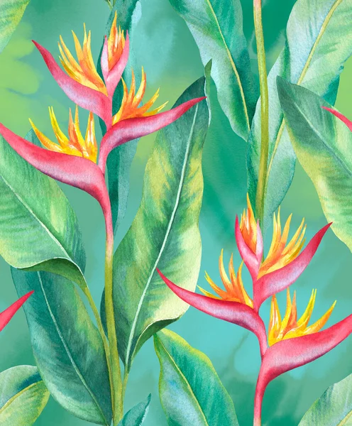 水彩ヘリコニアの花 手描きのシームレスなパターンデザイン — ストック写真