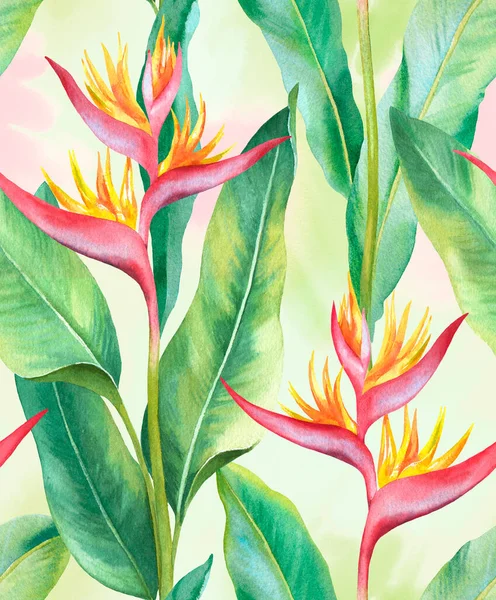 Watercolor Heliconia Flower Hand Painted Seamless Pattern Design — Stock Photo, Image