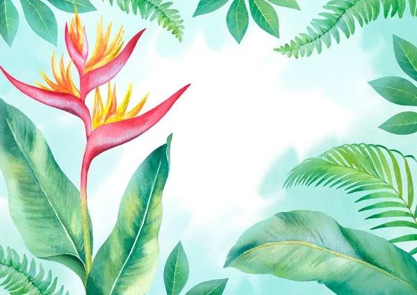 水彩ヘリコニアの花 手描き熱帯雨林 — ストック写真