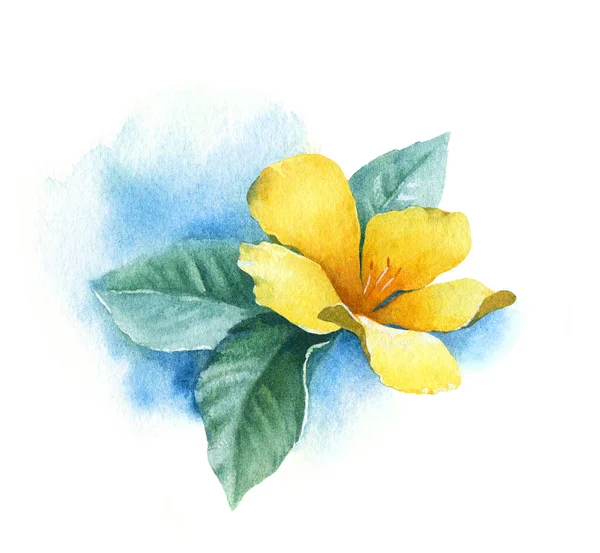 Υδατογραφία Κίτρινο Τροπικό Λουλούδι Χειροποίητη Απεικόνιση — Φωτογραφία Αρχείου