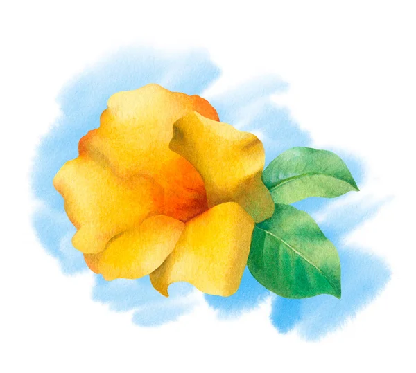 Akwarela Żółty Kwiat Tropikalny Ręcznie Malowane Ilustracje — Zdjęcie stockowe
