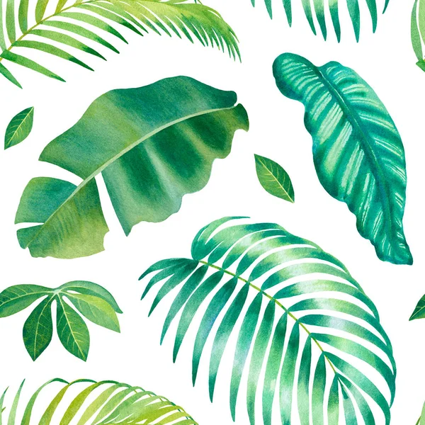 熱帯植物のイラストと水彩の背景 シームレスなパターン設計 — ストック写真