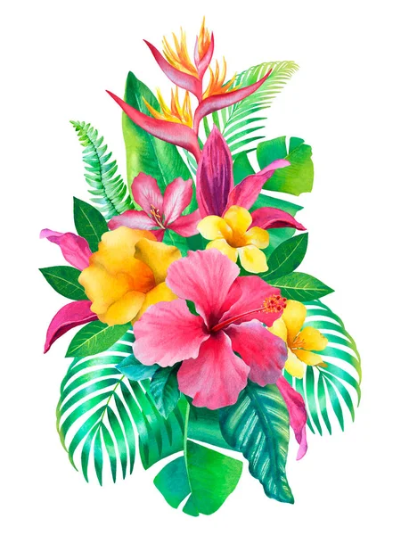 Watercolor Tropical Flowers Hand Painted Illustration Isolated White Background — Stock Photo, Image
