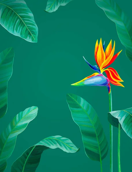 Hand Painted Illustration Sterlitzia Flower Acrylic Bird Paradise Flower Perfect — Foto de Stock