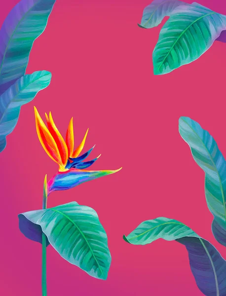 Ručně Malované Ilustrace Květu Sterlitzia Akrylický Pták Rajského Květu Ideální — Stock fotografie