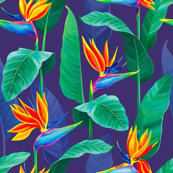 Bezešvý Vzor Design Ručně Malované Ilustrace Sterlitzia Květiny Vzor Tkaniny — Stock fotografie