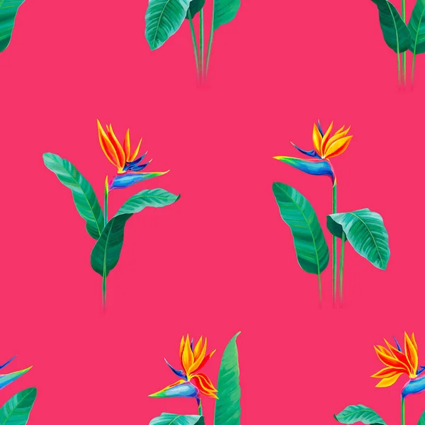 Безшовний Дизайн Візерунка Розфарбованою Вручну Ілюстрацією Квітки Стерліці Візерунок Тканини — стокове фото