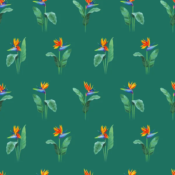 Seamless Pattern Design Hand Painted Illustration Sterlitzia Flower Pattern Fabric — Stock Photo, Image