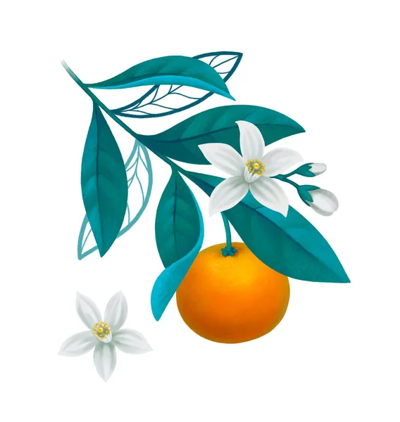 Ručně Malované Ilustrace Oranžové Větve Stromu Ideální Pro Plakáty Blahopřání — Stock fotografie