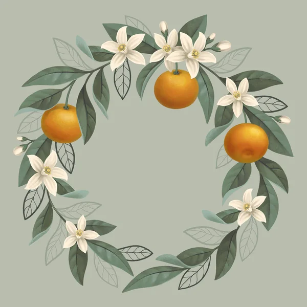 Narancsfa Ágának Kézzel Festett Illusztrációja Plakátokhoz Meghívókhoz Üdvözlőlapokhoz Csomagolástervezéshez Írószerekhez — Stock Fotó