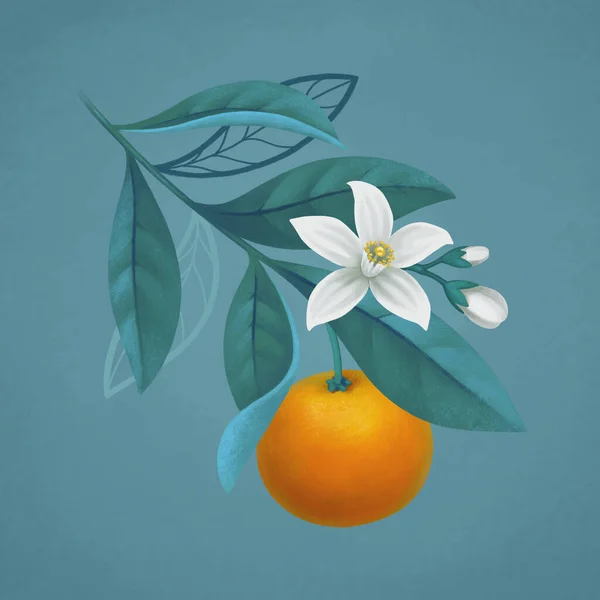 Handgemalte Illustration Von Orangenzweigen Perfekt Für Poster Grußkarten Schreibwaren Und — Stockfoto