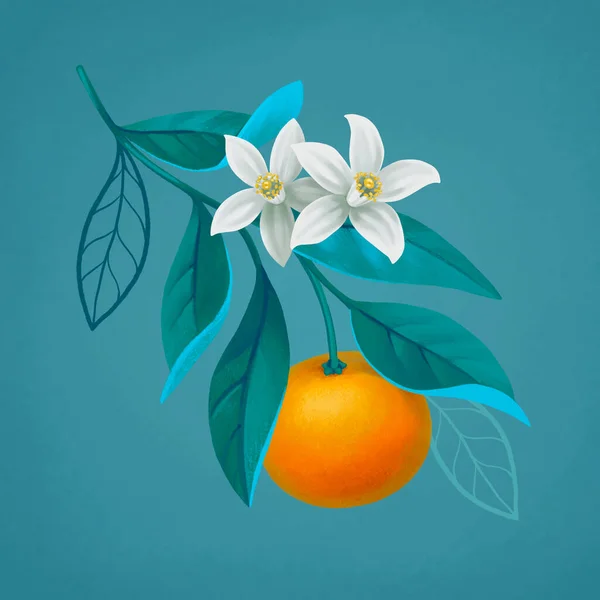 Ilustración Pintada Mano Rama Naranjo Perfecto Para Carteles Tarjetas Felicitación — Foto de Stock
