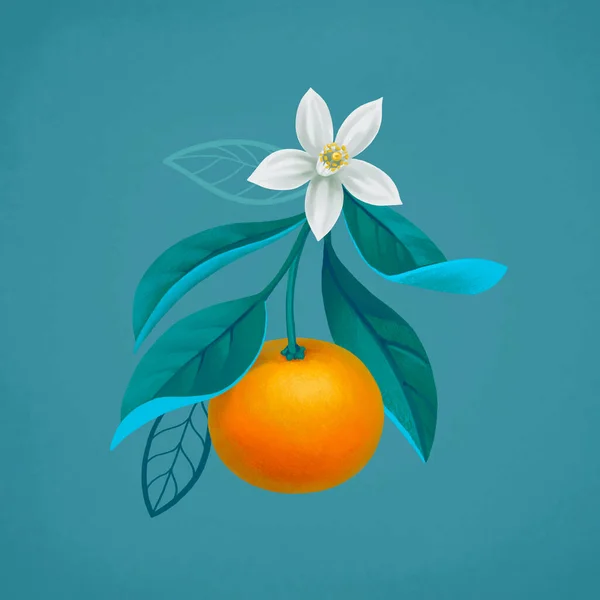Met Hand Geschilderde Illustratie Van Sinaasappelboom Tak Perfect Voor Posters — Stockfoto