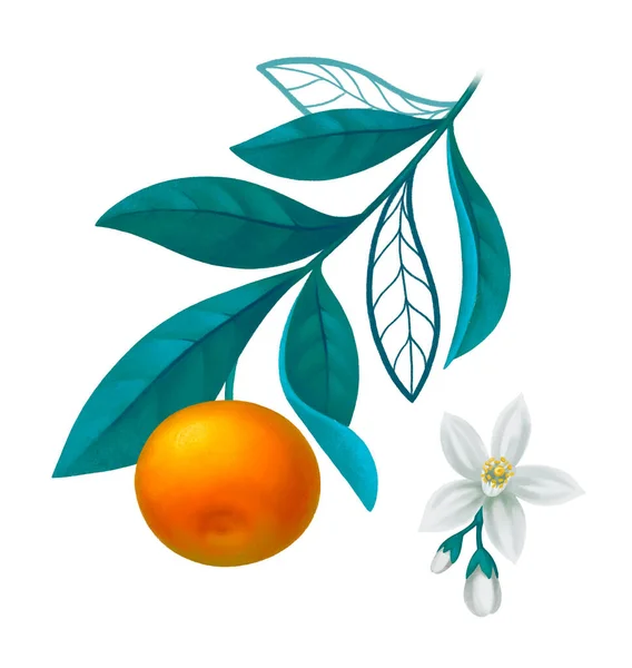 손으로 오렌지 가지를 포스터 인사장 문구류 물건들 — 스톡 사진