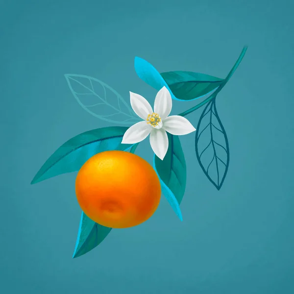 Met Hand Geschilderde Illustratie Van Sinaasappelboom Tak Perfect Voor Posters — Stockfoto