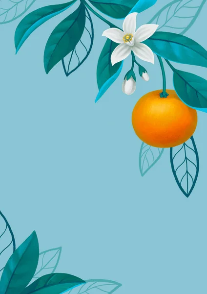 Ručně Malované Ilustrace Oranžové Větve Stromu Ideální Pro Plakáty Pozvánky — Stock fotografie