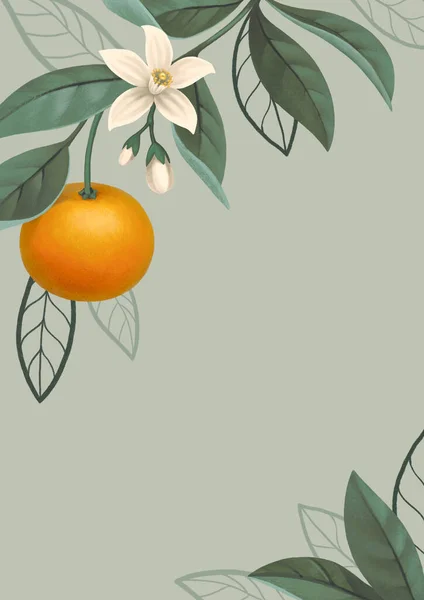 Illustration Peinte Main Branche Oranger Parfait Pour Affiches Invitations Cartes — Photo